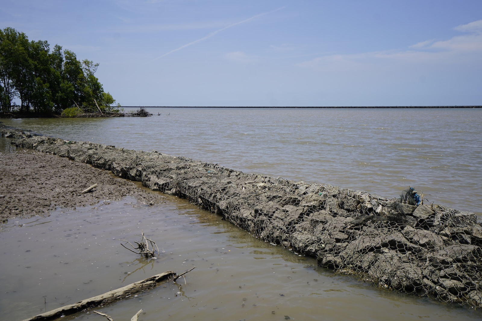 A rock-filled wire breakwater running along an eroding mangrove coastline