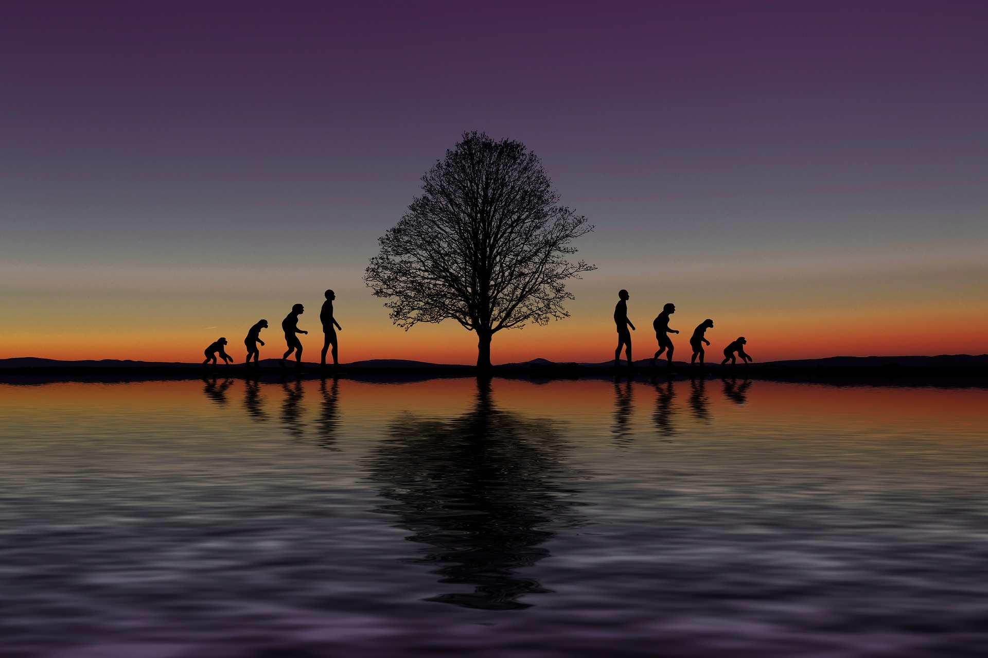 The freshwater crisis — humanity and nature at a crossroads