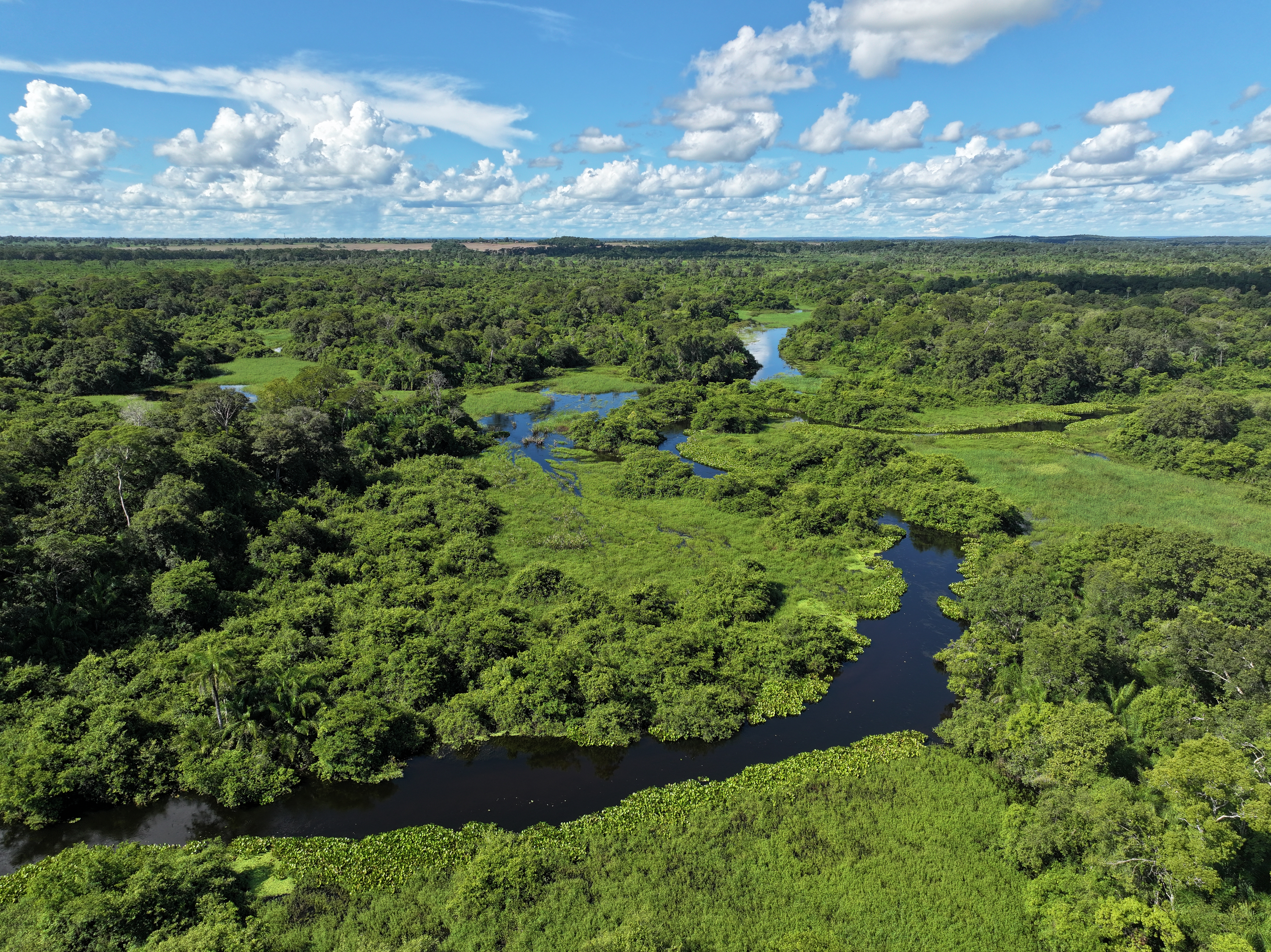 Pantanal wetlands, Brazil